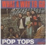 [Pochette de POP TOPS -  What a way to go ]