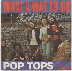 [Pochette de POP TOPS -  What a way to go  (PRODUCTEURS FRANAIS)]