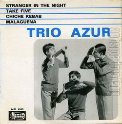 [Pochette de Stranger in the night (TRIO AZUR)]
