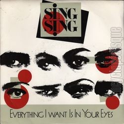 [Pochette de Everything I want is in your eyes (SING SING)]