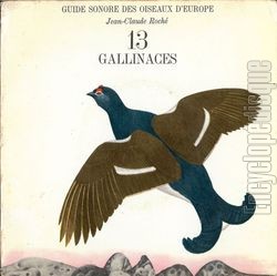 [Pochette de Guide sonore des oiseaux d’Europe - 13 - Gallinacs (DOCUMENT)]