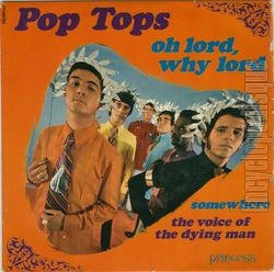 [Pochette de Oh lord, why lord (POP TOPS)]