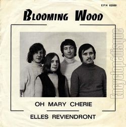 [Pochette de Oh Mary chrie (BLOOMING WOOD)]