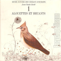 [Pochette de Guide sonore des oiseaux d’Europe -  1 - Alouettes et bruants (DOCUMENT)]