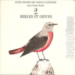 [Pochette de Guide sonore des oiseaux d’Europe -  2 - Merles et grives (DOCUMENT)]