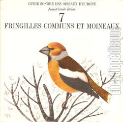 [Pochette de Guide sonore des oiseaux d’Europe -  7 - Fringilles communs et moineaux (DOCUMENT)]