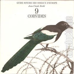 [Pochette de Guide sonore des oiseaux d’Europe -  9 - Corvids (DOCUMENT)]
