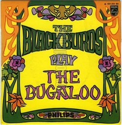 [Pochette de The Blackburds play the bugaloo (The BLACKBURDS)]