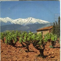 [Pochette de Cte du Roussillon (Appellation d’origine Contrle) (Jordi BARRE) - verso]
