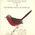 Guide sonore des oiseaux d'Europe -  5 - Fauvettes sylvias et hypolais