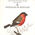 Guide sonore des oiseaux d'Europe -  6 - Frangilles de montagne