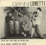 [Pochette de How do you feel in your life]