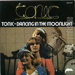 [Pochette de Dancing in the moonlight]