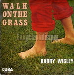 [Pochette de Walk on the grass]