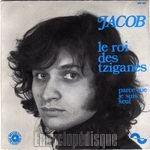[Pochette de Le roi des tziganes]