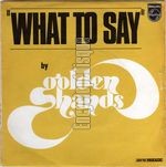 [Pochette de What to say]