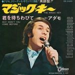 [Pochette de The magic key (Salvatore ADAMO)]
