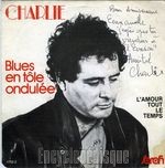 [Pochette de Blues en tle ondule]