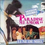 [Pochette de Paradise mi amor]