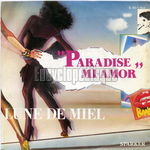 [Pochette de Paradise mi amor]