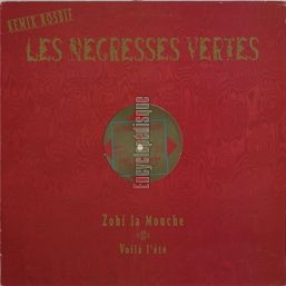 [Pochette de Zobi la mouche - remix rosbif - (Les NGRESSES VERTES)]