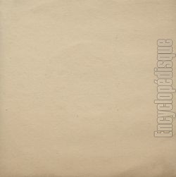 [Pochette de Hully Gully (BUZZY BASS and MISSKISS) - verso]