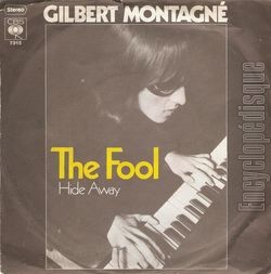 [Pochette de The fool (Gilbert MONTAGN)]