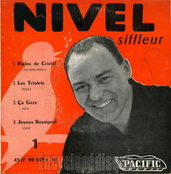 [Pochette de Perles de cristal (NIVEL)]