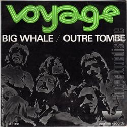 [Pochette de Big whale (VOYAGE)]