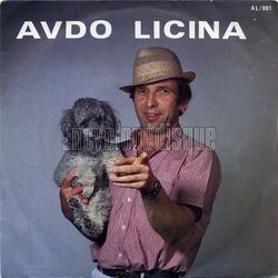 [Pochette de Viens danser (Avdo LICINA)]
