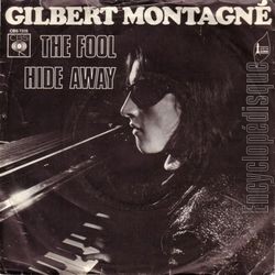 [Pochette de The fool (Gilbert MONTAGN)]