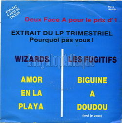 [Pochette de Wizards - Les fugitifs (COMPILATION)]