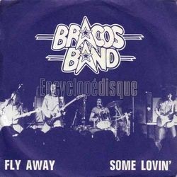 [Pochette de Fly away (BRACOS BAND)]