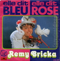 [Pochette de Elle dit bleu, elle dit rose (Rmy BRICKA)]