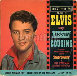 [Pochette de Salut les cousins (B.O.F.  Films )]