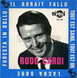 [Pochette de Il aurait fallu (Rudo CARDI)]