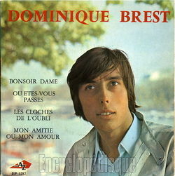 [Pochette de Bonsoir dame (Dominique BREST)]