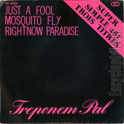 [Pochette de Just a fool (TREPONEM PAL)]