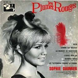 [Pochette de Les plumes rouges (Sophie DAUMIER)]