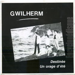 [Pochette de Destine (GWILHERM)]