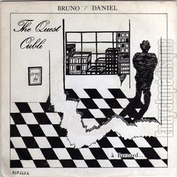 [Pochette de The quest (BRUNO / DANIEL)]