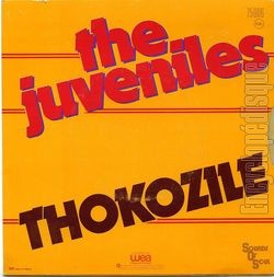 [Pochette de Edisco ziyaduma (The JUVENILES) - verso]