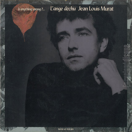 [Pochette de Is anything wrong ? … L’ange dchu (Jean-Louis MURAT)]