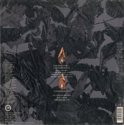 [Pochette de Is anything wrong ? … L’ange dchu (Jean-Louis MURAT) - verso]