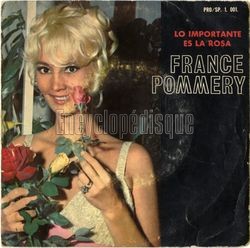 [Pochette de Lo importante es la rosa (France POMMERY)]