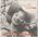 Sur la plage  minuit / Un amour de lgende