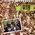 Musique atteinte