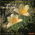 Soeur Adle