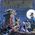 La danse des petits chats