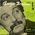 Le parapluie - 1re srie